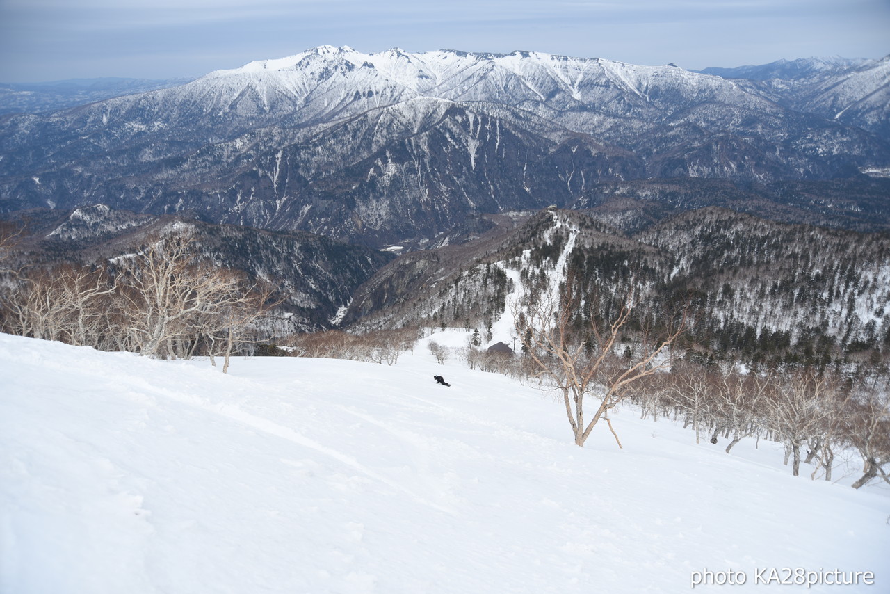 大雪山層雲峡黒岳ロープウェイスキー場　積雪 380cm！標高1,984ｍの黒岳山頂から大斜面にシュプールを描く(*^^)v 